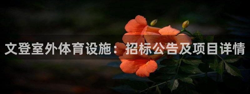 意昂3集团官网首页：文登室外体育设施：招标公告及项目