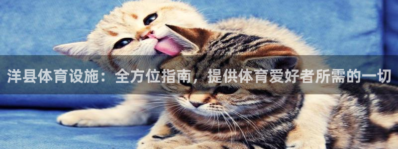 注册意昂3：洋县体育设施：全方位指南，提供体育爱好者