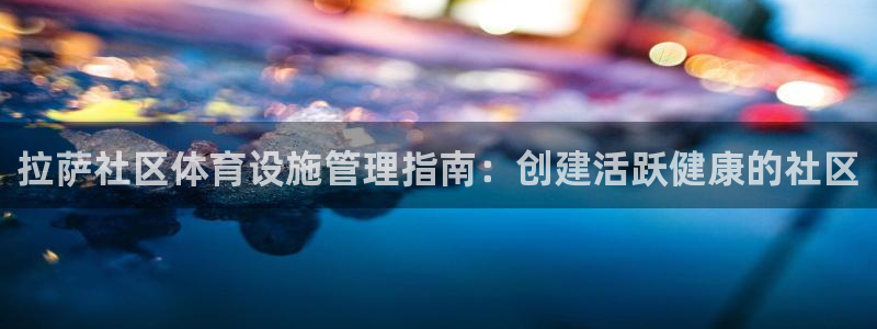 意昂体育3官方客服电话：拉萨社区体育设施管理指南：创