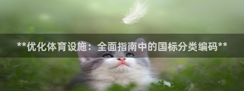 意昂体育3招商电话是多少号码：**优化体育设施：全面