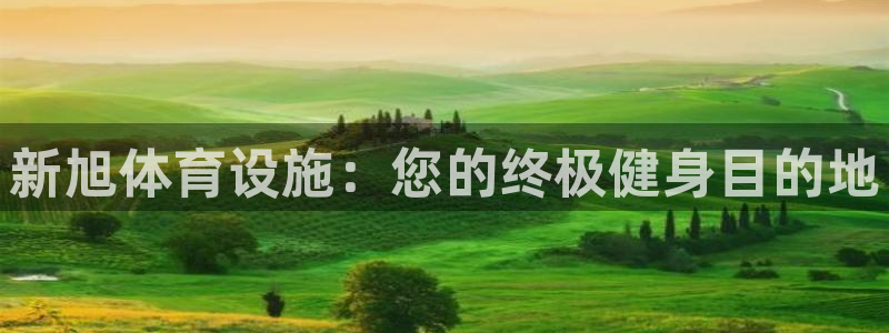 意昂体育3开户：新旭体育设施：您的终极健身目的地