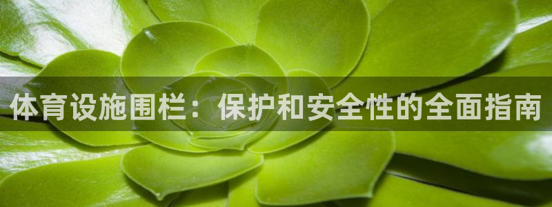 意昂体育3平台假的吗是真的吗吗：体育设施围栏：保护和