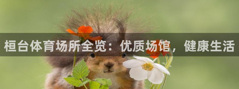 意昂3娱乐下载：桓台体育场所全览：优质场馆，健康生活