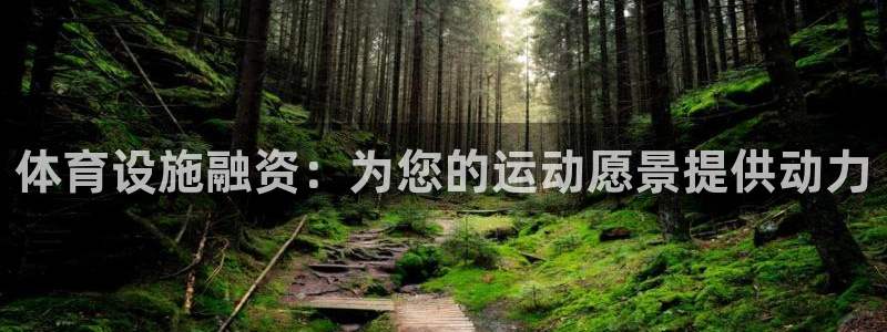 意昂体育3平台注册要钱吗：体育设施融资：为您的运动愿