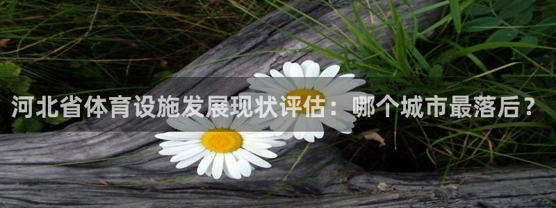 意昂体育3招商电话号码查询：河北省体育设施发展现状评