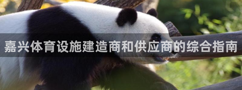 意昂3集团官网首页：嘉兴体育设施建造商和供应商的综合