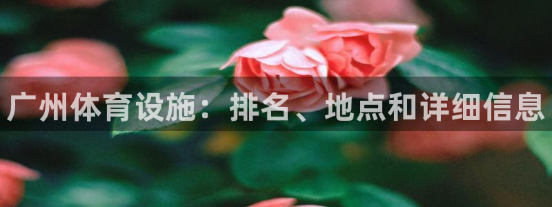 意昂体育3平台是正规平台吗：广州体育设施：排名、地点