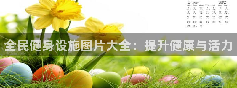 意昂体育3：全民健身设施图片大全：提升健康与活力