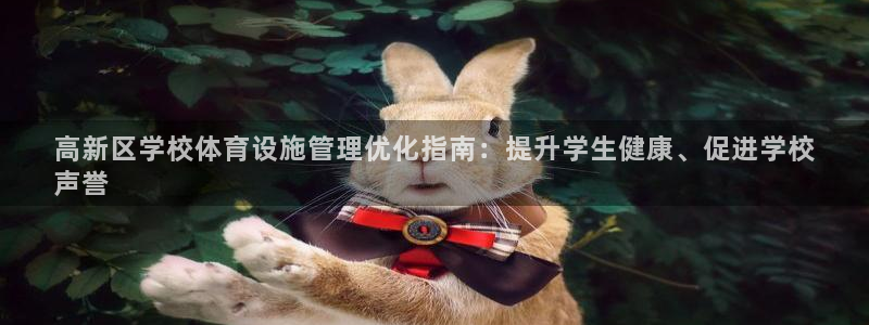 意昂3集团简介：高新区学校体育设施管理优化指南：提升
