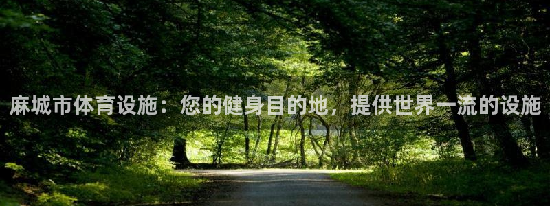 意昂3新能源：麻城市体育设施：您的健身目的地，提供世