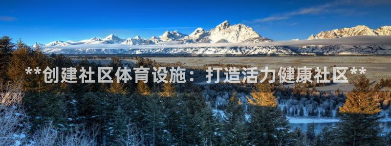 意昂3娱乐首页网站大全：**创建社区体育设施：打造活