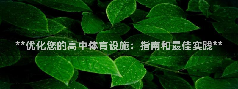 意昂3娱乐是那个系列的台子：**优化您的高中体育设施