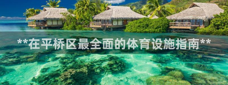意昂体育3招商：**在平桥区最全面的体育设施指南**
