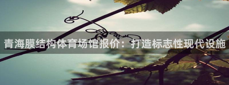 意昂体育3注册：青海膜结构体育场馆报价：打造标志性现