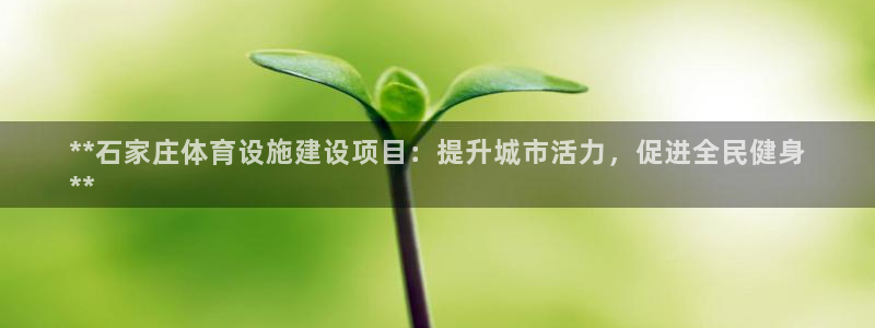 意昂体育3平台注册流程图：**石家庄体育设施建设项目