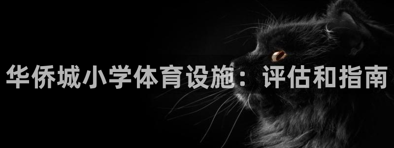 意昂3代理：华侨城小学体育设施：评估和指南