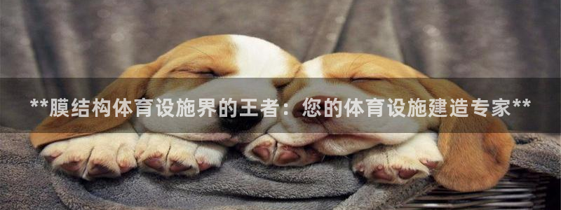 意昂3集团：**膜结构体育设施界的王者：您的体育设施
