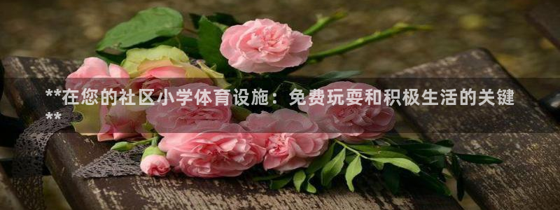 意昂3娱乐平台：**在您的社区小学体育设施：免费玩耍