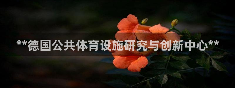 意昂体育3平台APP：**德国公共体育设施研究与创新