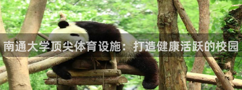 意昂体育3：南通大学顶尖体育设施：打造健康活跃的校园