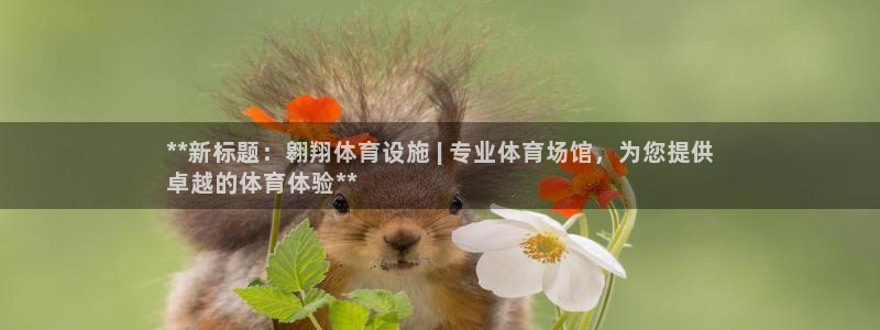 意昂3代理：**新标题：翱翔体育设施 | 专业体育场
