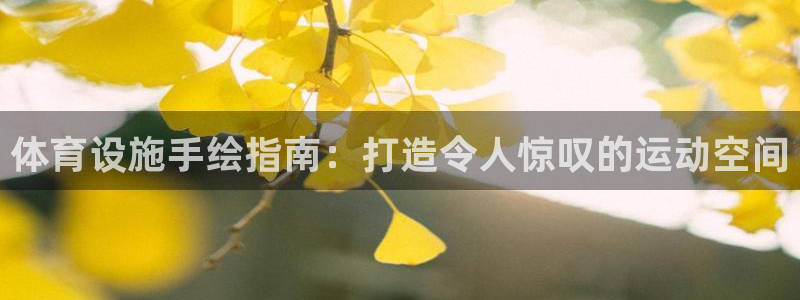 意昂体育3招商电话地址是多少：体育设施手绘指南：打造