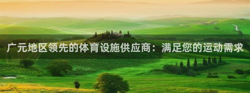 意昂3娱乐：广元地区领先的体育设施供应商：满足您的运