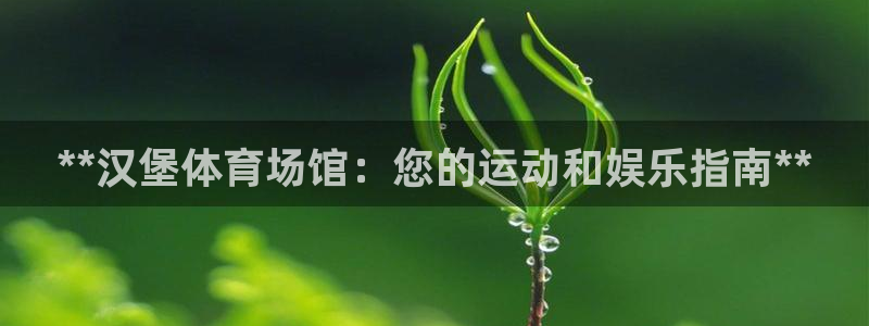 意昂体育3平台是正规平台吗知乎：**汉堡体育场馆：您