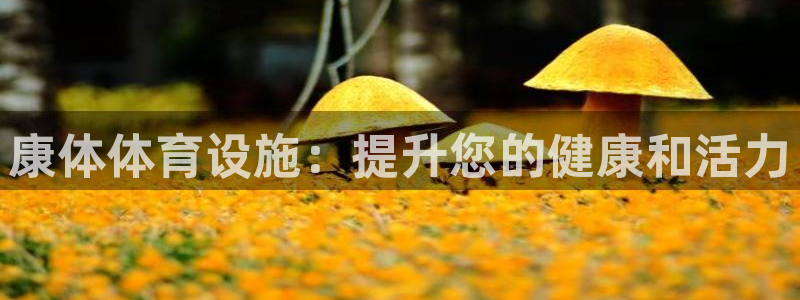 意昂3娱乐：康体体育设施：提升您的健康和活力