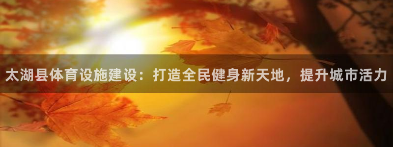 意昂3新能源：太湖县体育设施建设：打造全民健身新天地