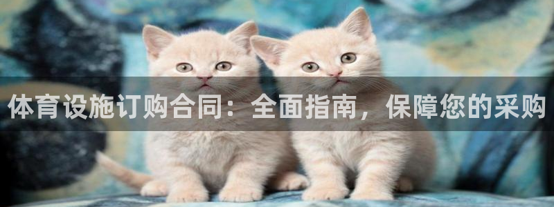 意昂3官方：体育设施订购合同：全面指南，保障您的采购