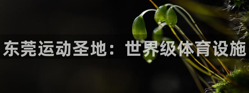 意昂体育3平台注册要钱吗是真的吗：东莞运动圣地：世界