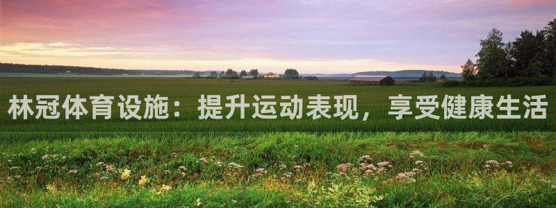 意昂3神州：林冠体育设施：提升运动表现，享受健康生活