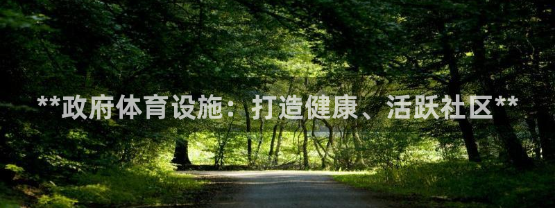 意昂体育3平台注册流程视频：**政府体育设施：打造健