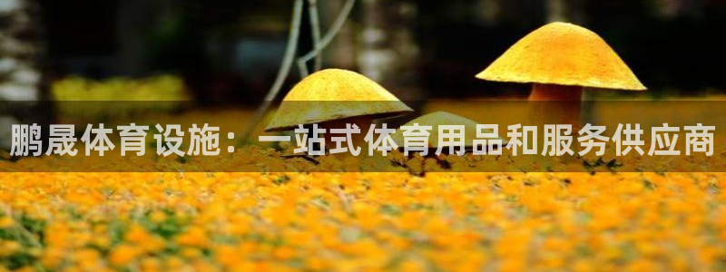 意昂3官方：鹏晟体育设施：一站式体育用品和服务供应商