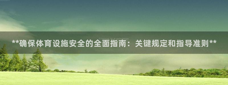 意昂体育3平台假的吗是真的吗：**确保体育设施安全的