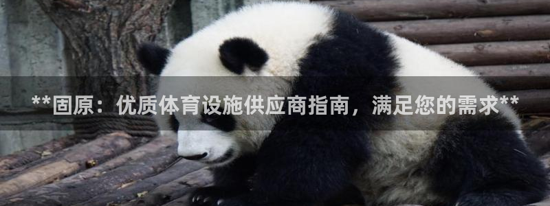 意昂体育3是干嘛的公司：**固原：优质体育设施供应商