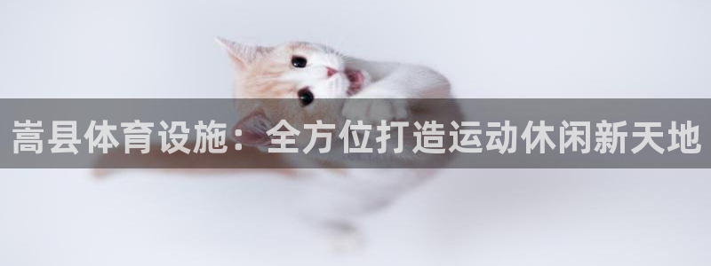 意昂3娱乐：嵩县体育设施：全方位打造运动休闲新天地