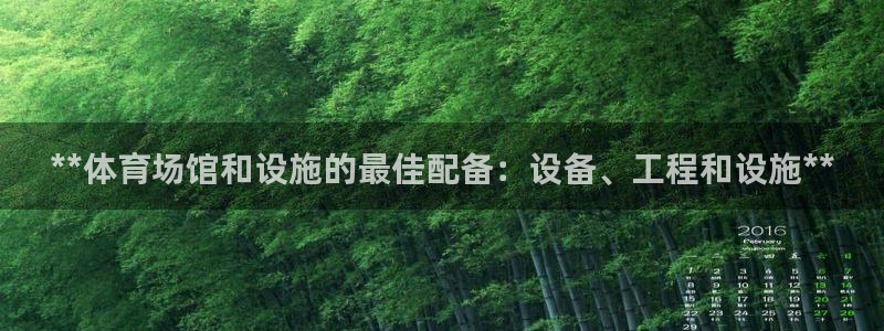 意昂体育3：**体育场馆和设施的最佳配备：设备、工程