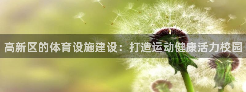 意昂3集团：高新区的体育设施建设：打造运动健康活力校