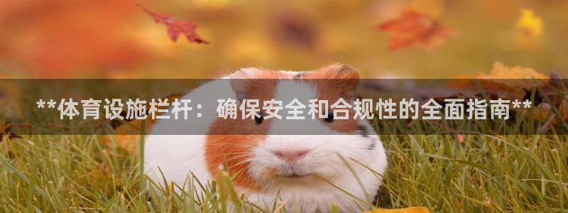 意昂体育3招商电话号码是多少啊：**体育设施栏杆：确