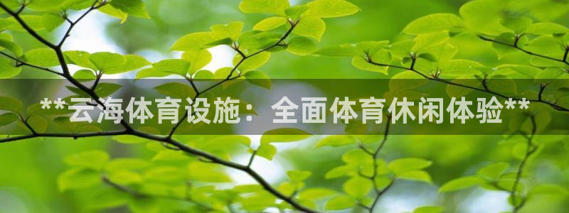 意昂3娱乐首页官网下载：**云海体育设施：全面体育休