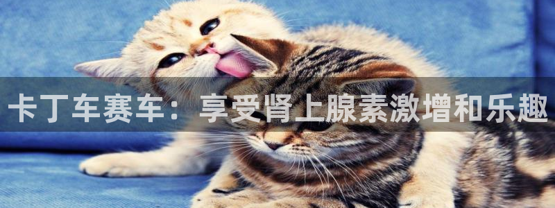 意昂体育3招商电话号码是多少号：卡丁车赛车：享受肾上