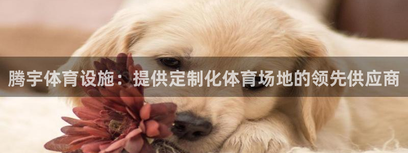 意昂3神州：腾宇体育设施：提供定制化体育场地的领先供