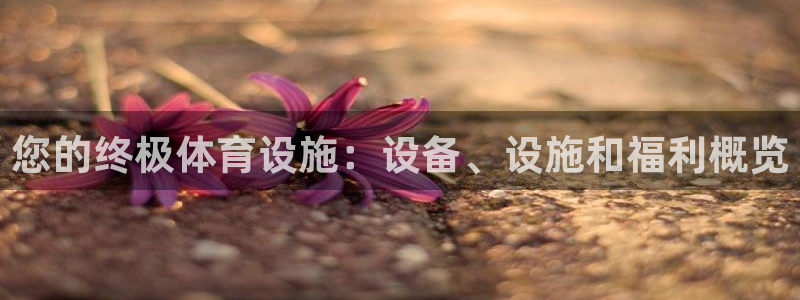 海南意昂体育3：您的终极体育设施：设备、设施和福利概