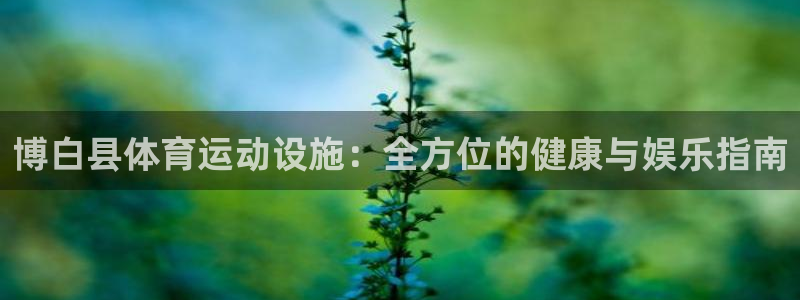 意昂体育3是干嘛的公司：博白县体育运动设施：全方位的