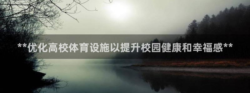 意昂体育3软件：**优化高校体育设施以提升校园健康和