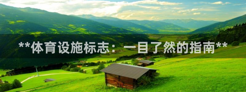 意昂体育3娱乐：**体育设施标志：一目了然的指南**