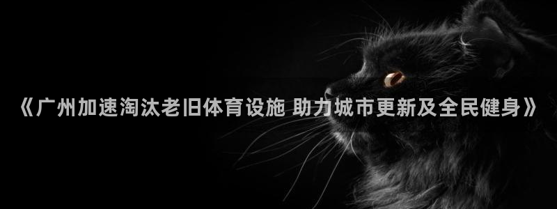 意昂3娱乐首页官网下载：《广州加速淘汰老旧体育设施 