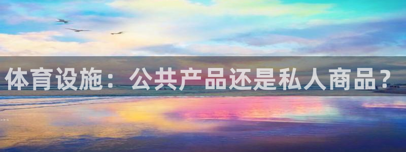 意昂体育3联系电话：体育设施：公共产品还是私人商品？